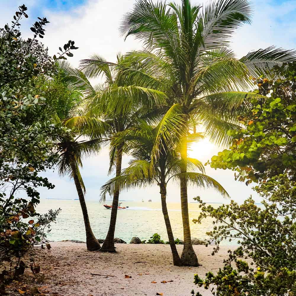 Florida Roofing Contractor - RRCA – Roofing & Reconstruction Contractors Of America